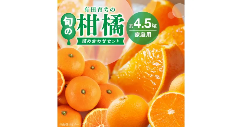 【ふるさと納税】先行予約 旬の美味 みかん名産地和歌山有田 有田育ちの旬の ご家庭 旬の柑橘 詰め合わせセット 4.5kg 訳あり