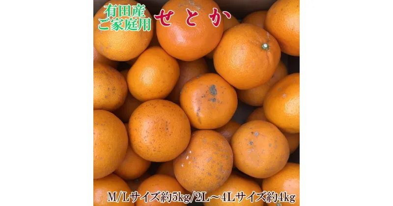 【ふるさと納税】【限定】 一度は食べていただきたい 有田産のせとか 【訳あり 家庭用】 4kg～5kg (サイズおまかせ)※2L以上は約4kg