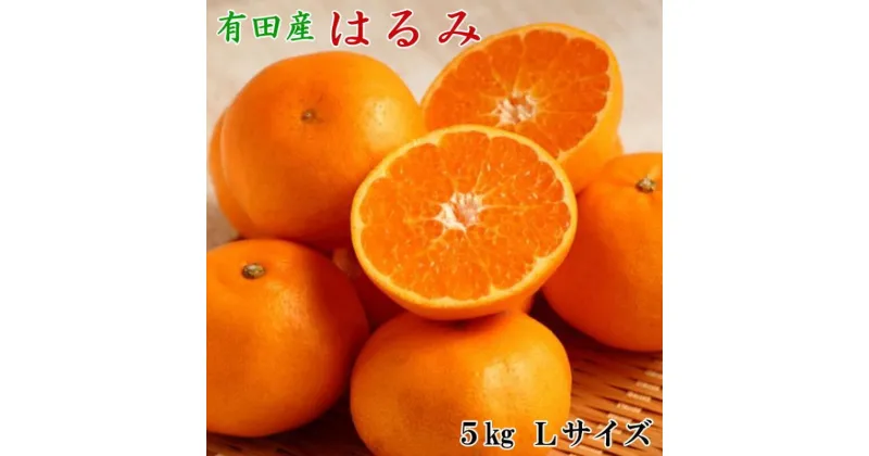 【ふるさと納税】【限定】 【先行予約】【厳選・濃厚】紀州有田産の はるみ 5kg (Lサイズ)