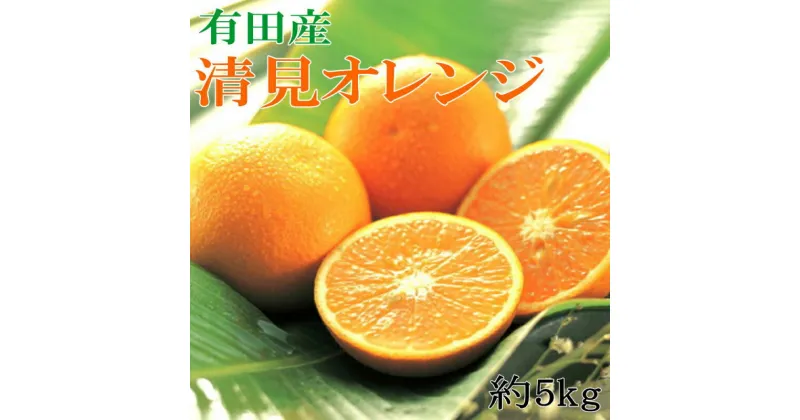 【ふるさと納税】【限定】 【濃厚】 有田産清見オレンジ約5kg（サイズおまかせ・青秀以上）