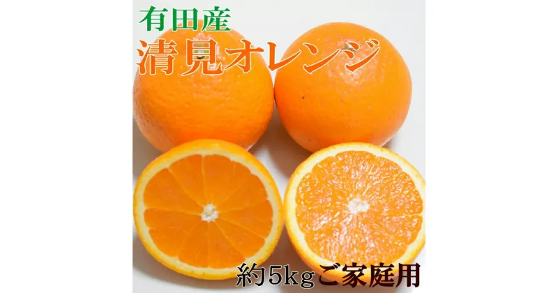 【ふるさと納税】【限定】 【ご家庭用】濃厚有田産清見オレンジ約5kg（サイズおまかせ）