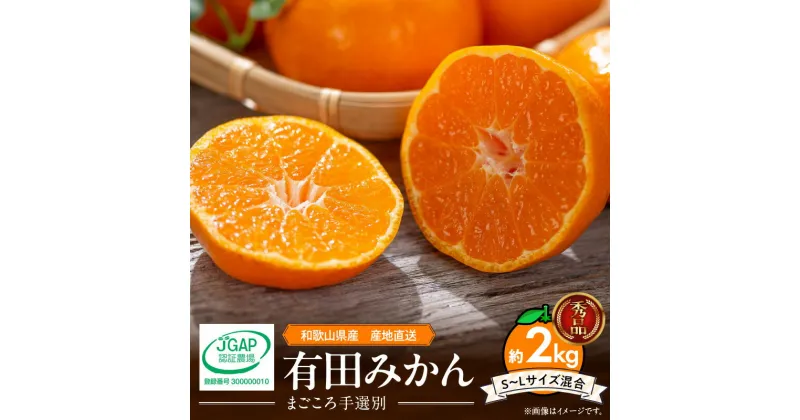 【ふるさと納税】【限定】 有田みかん 2kg 秀品 S ～ Lサイズ 混合 まごころ手選別 柑橘 柑橘類 温州みかん みかん 皮が剥きやすい バランスのとれた甘さ フルーツ 果物 お取り寄せ お取り寄せフルーツ 和歌山県 湯浅町 送料無料