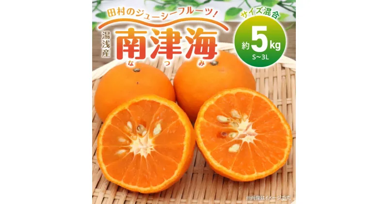 【ふるさと納税】【限定】【先行受付】田村の南津海 約5kg(S～3L・混合サイズ)【紀州グルメ市場】 送料無料