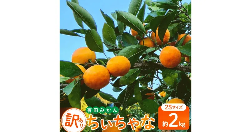 【ふるさと納税】【限定】有田みかん『ちぃちゃな』2Sサイズ　約2kg（訳あり　家庭用）