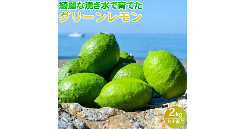 【ふるさと納税】綺麗な湧き水で育てたグリーンレモン 2kg (大小混合)