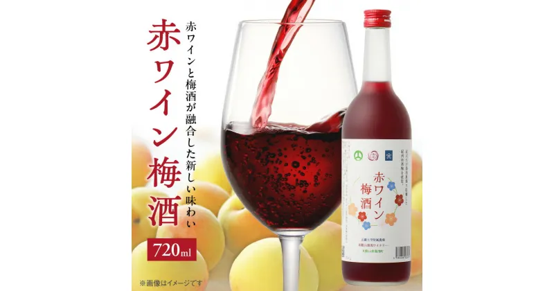 【ふるさと納税】赤ワイン梅酒 720ml