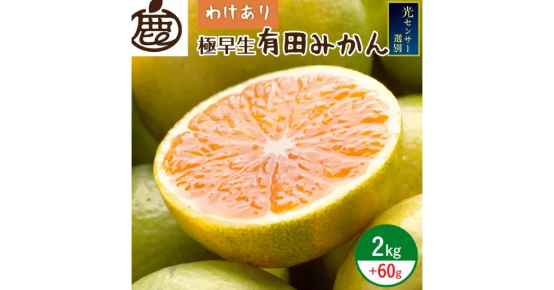 【ふるさと納税】【限定】＜9月より発送＞家庭用 極早生有田みかん 2kg+60g（傷み補償分）濃厚ゆら早生みかん【YN26・ゆら早生】【わけあり・訳あり】【光センサー選果】