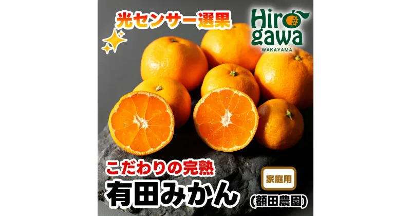 【ふるさと納税】 こだわりの 有田みかん 家庭用 5000円 10000円 光センサー 選別 農家 直送 ※選べる10月～1月発送予定 ※北海道・沖縄・離島への配送不可 / 温州みかん みかん 家庭用 完熟 柑橘 果物 和歌山 有田 //mandarin //jcm