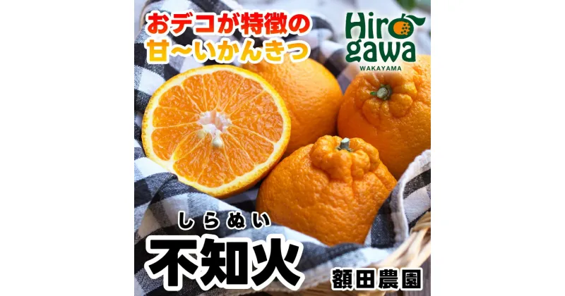 【ふるさと納税】 不知火 ( デコポン ) 5kg 7kg 10kg 11000円 13000円 サイズ混合 ※2月中旬～4月中旬に順次発送予定 ※北海道・沖縄・離島への配送不可 / しらぬい 柑橘類 果物 和歌山 有田 広川 //dekopon //jcm