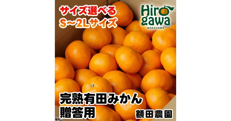 【ふるさと納税】 完熟 有田みかん 贈答用 7.5kg 10kg 有機質肥料100％ ※11月中旬より翌年1月中旬頃に順次発送予定 ※北海道・沖縄・離島への配送不可 / 温州みかん みかん 贈答 お歳暮 柑橘 果物 フルーツ くだもの 果実 和歌山 有田 //mandarin