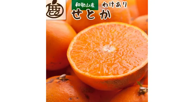 【ふるさと納税】 家庭用 せとか 1kg 2.5kg 5kg 5000円 10000円 17000円【わけあり 訳あり】柑橘 晩柑 光センサー選果・食べ頃出荷 ※2月上旬〜4月上旬頃に順次発送予定 ※北海道・沖縄・離島への配送不可 / ミカン 蜜柑 柑橘 果物 フルーツ 国産 和歌山県 //dekopon