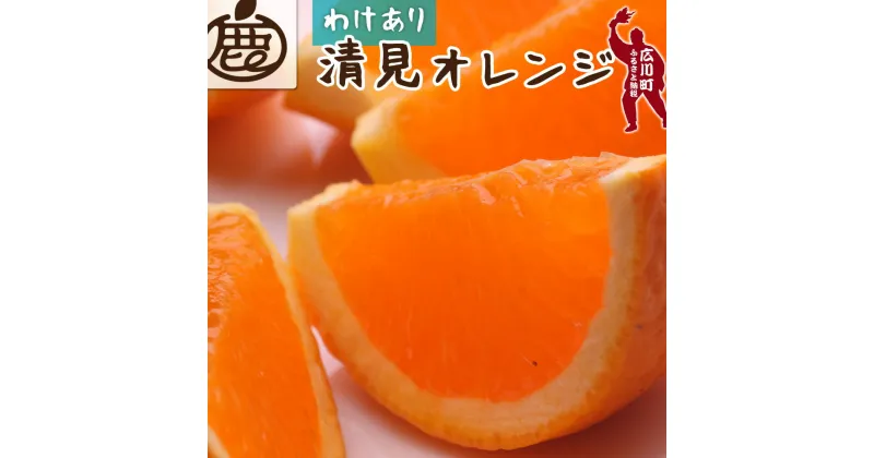 【ふるさと納税】 清見 オレンジ 家庭用 【光センサー食頃出荷】【樹上完熟きよみオレンジ・清見タンゴール・清美】【わけあり・訳あり】 ※2月上旬〜4月上旬頃に順次発送予定 ※北海道・沖縄・離島への配送不可 //dekopon