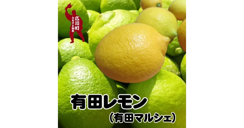 【ふるさと納税】【国産】紀州和歌山　有田レモン ※10月上旬～1月下旬順次発送予定 ※北海道・沖縄・その他離島地域は発送不可 / レモン 檸檬 くだもの 果実 柑橘 果物 フルーツ 国産 和歌山県 有田 //lemon