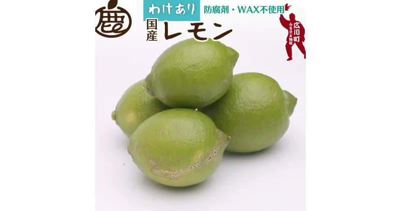 【ふるさと納税】 家庭用 黒潮レモン 【 和歌山 有田産 】 【 防腐剤 WAX不使用 安心の国産レモン 】 【 わけあり 訳あり レモン 】 ※9月上旬〜翌年7月中旬頃に順次発送予定 ※北海道・沖縄・離島への配送不可 // lemon // best