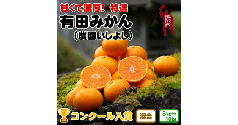 【ふるさと納税】 有田みかん 特選 3kg 5kg 7.5kg 10kg 7000円 10000円 14000円 16000円 【 創業120年 農家 直送 】 ※11月より順次発送予定 / 温州みかん みかん フルーツ 柑橘 くだもの 果物 果実 和歌山 紀州 有田 //mandarin //jcm