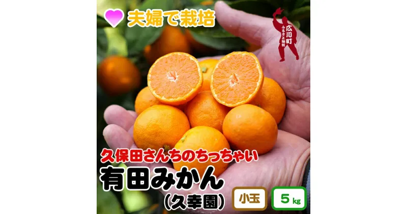 【ふるさと納税】 ちっちゃい 有田みかん 5kg 11000円 久幸園 ※11月下旬〜順次発送予定 / みかん 温州みかん フルーツ 小玉 小粒 家庭用 濃厚 完熟 柑橘 和歌山 有田 広川 秋 冬 旬 甘い 甘味 果汁 おすすめ オススメ 本場 ホンマモン //mandarin //jcm