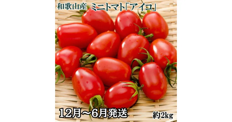 【ふるさと納税】和歌山産ミニトマト「アイコトマト」約2kg（S・Mサイズおまかせ） ※北海道、沖縄、離島には配送不可 ※5月〜6月に順次発送予定 / トマト 野菜 サラダ ベジタブル //vegi