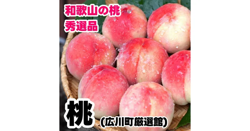 【ふるさと納税】 桃 和歌山産 秀品 【 産直 人気の特産品 】 ※6月下旬～8月上旬頃順次発送予定 ※北海道・沖縄・離島への配送不可 / もも 桃 白桃 くだもの 果物 果実 フルーツ お中元 お供え お盆 贈答 贈り物 //hokaf