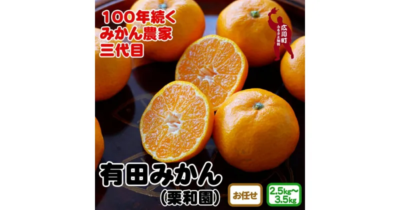 【ふるさと納税】 有田みかん 2.5kg 3kg 3.5kg (2S.S.M.Lサイズのいずれか) (L.2L混合) 和歌山県産 ※11月上旬頃～12月下旬頃に順次発送予定 7000円 9000円 / みかん ミカン 蜜柑 柑橘 果物 フルーツ 国産 和歌山県広川町 //mandarin //jcm