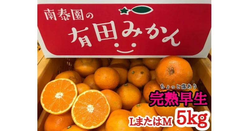 【ふるさと納税】【年内発送】【ちょっと傷あり】完熟早生 有田みかん 約5kg (LまたはMサイズ) みかん ミカン 蜜柑 柑橘 果物 フルーツ 国産 和歌山県広川町※11月中旬〜12月下旬頃順次発送予定※着日指定不可