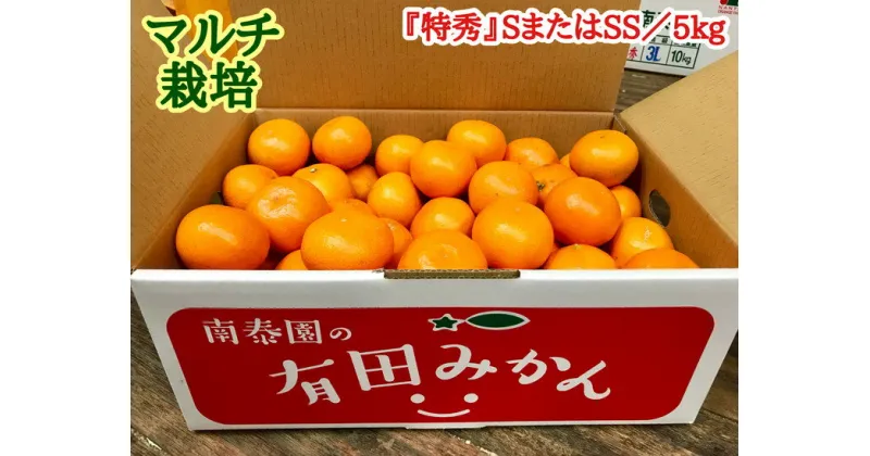 【ふるさと納税】【マルチ栽培・有田みかん】『特秀』SまたはSSサイズ／5kg ※着日指定不可 ※12月中旬頃〜翌年1月下旬頃に順次発送予定