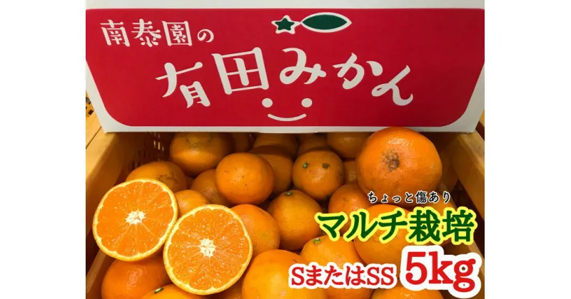 【ふるさと納税】ちょっと傷あり【マルチ栽培・有田みかん】SまたはSSサイズ／約5kg ※着日指定不可 ※12月中旬頃〜翌年1月下旬頃に順次発送予定