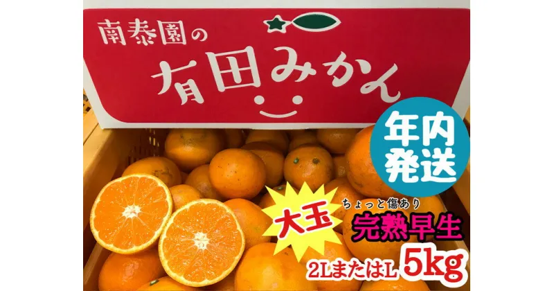 【ふるさと納税】≪年内発送≫ちょっと傷あり【完熟早生・有田みかん】大玉2LまたはLサイズ／約5kg【南泰園】 ※着日指定不可 ※11月中旬頃〜12月下旬頃に順次発送予定