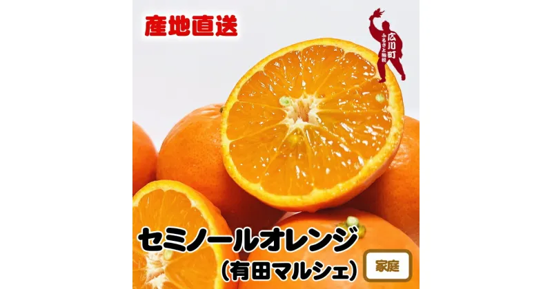 【ふるさと納税】【先行予約】有田育ちの爽快セミノールオレンジ(ご家庭用)　※4月上旬～4月下旬頃順次発送予定※北海道・沖縄・その他離島地域は発送不可 / みかん オレンジ くだもの 果実 晩柑 蜜柑 柑橘 果物 フルーツ 国産 和歌山県 有田 //hassaku