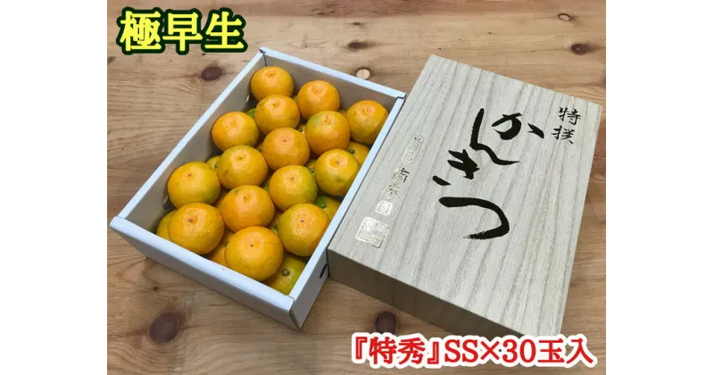 【ふるさと納税】【極早生・有田みかん】化粧小箱『特秀』小玉SSサイズ30玉入 | フルーツ 果物 蜜柑 ミカン オレンジ 有田産 和歌山産 産地直送 約2kg※着日指定不可 ※10月中旬頃〜11月下旬頃に順次発送予定