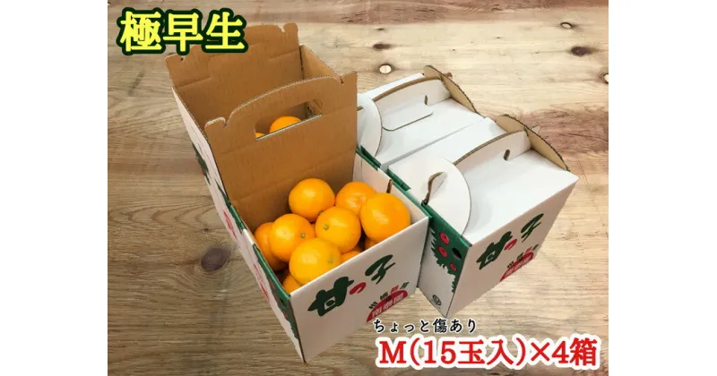 【ふるさと納税】《手さげ箱》ちょっと傷【極早生・有田みかん】Mサイズ15個入×4箱 | フルーツ 果物 蜜柑 ミカン オレンジ 有田産 和歌山産 産地直送 約1.6kg※着日指定不可 ※10月中旬頃〜11月下旬頃に順次発送予定