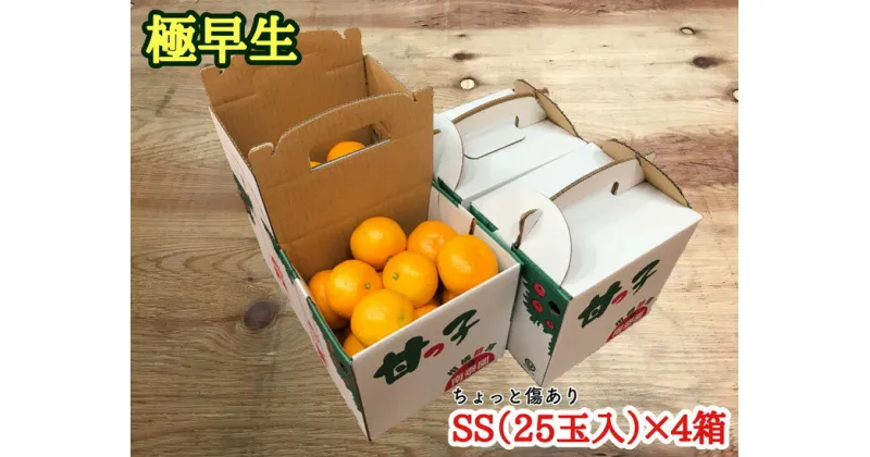 【ふるさと納税】《手さげ箱》ちょっと傷【極早生・有田みかん】SSサイズ25個入×4箱 | フルーツ 果物 蜜柑 ミカン オレンジ 有田産 和歌山産 産地直送 約1.6kg※着日指定不可 ※10月中旬頃〜11月下旬頃に順次発送予定