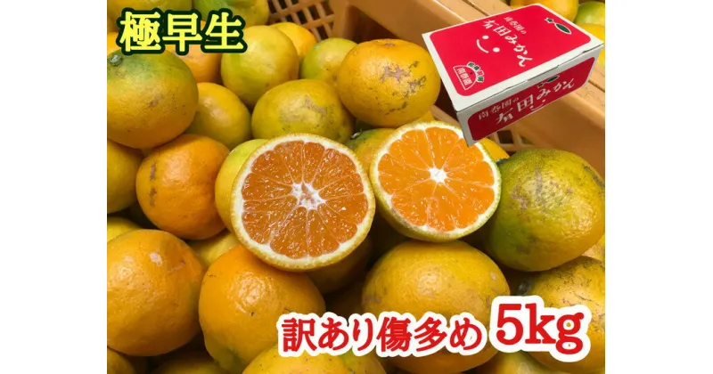 【ふるさと納税】訳あり傷多め【極早生・有田みかん】約5kg（サイズおまかせ）| フルーツ 果物 蜜柑 ミカン オレンジ 有田産 和歌山産 産地直送※着日指定不可 ※10月中旬頃〜11月下旬頃に順次発送予定