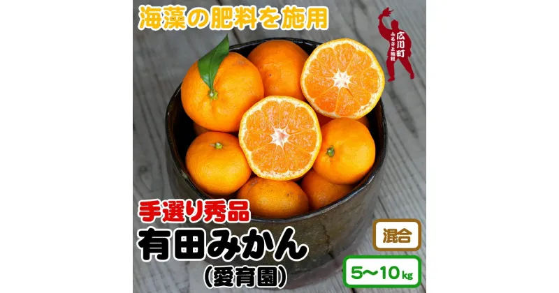 【ふるさと納税】 有田みかん 5kg 10kg 11000円 16000円 海藻施用 手選果 ※11月下旬〜1月中旬頃に順次発送予定 / 温州みかん みかん 柑橘 くだもの 果物 果実 フルーツ 和歌山 有田 //mandarin