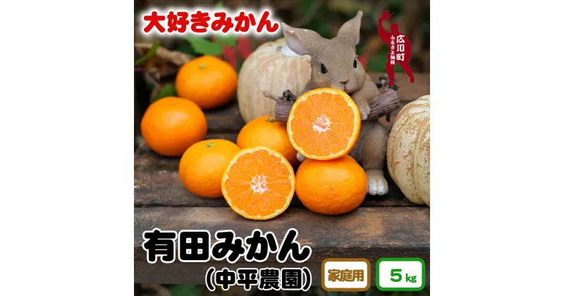 【ふるさと納税】 有田みかん 家庭用 5kg サイズ混合 大好きみかん ※11月中旬より順次発送予定 10000円 / 温州みかん みかん 柑橘 果物 くだもの フルーツ 濃厚 和歌山 有田 広川町 //mandarin //jcm