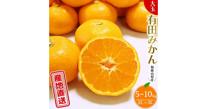 【ふるさと納税】 有田みかん 大玉 （2L〜3L） 5kg 10kg 9000円 13000円 ＼ みかんの名産地 和歌山県産／ 農家直送 ひとつひとつ手選別で厳選 【11月下旬頃発送予定】 / 温州みかん 正月 大きい くだもの 果物 果実 フルーツ