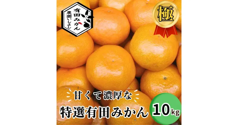 【ふるさと納税】 有田みかん 特選 極 10kg 30000円 【 創業120年 農家直送 】 ※11月より順次発送予定 / みかん 温州みかん 高級 贈答 ギフト お歳暮 柑橘 くだもの 果物 果実 フルーツ 和歌山 紀州 有田 //mandarin