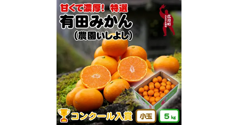 【ふるさと納税】 有田みかん 5kg 小玉 小粒 サイズ 12000円 【 創業120年 農家直送 】 ※11月より順次発送予定 / 温州みかん みかん 柑橘 蜜柑 くだもの 果物 果実 フルーツ 和歌山 紀州 有田 //mandarin //jcm