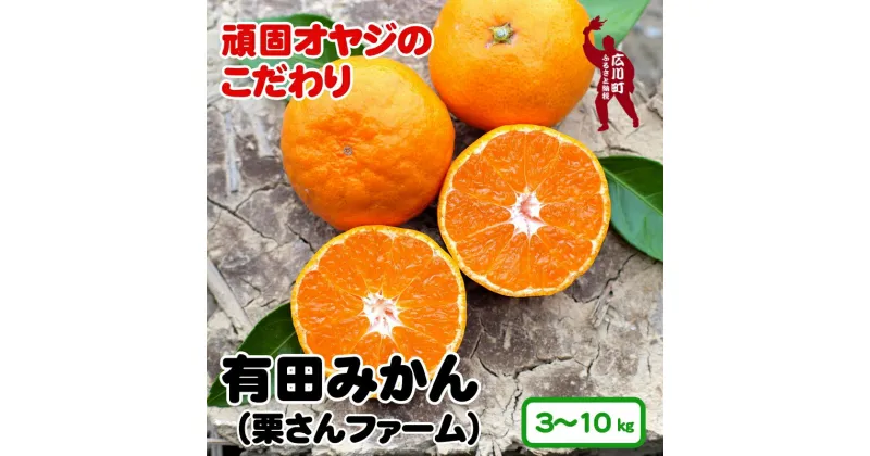 【ふるさと納税】 有田みかん 3kg 5kg 10kg 7000円 10000円 13000円 16000円 18000円 頑固オヤジのこだわりみかん ※11月中旬～1月上旬頃より順次発送予定 / 温州みかん みかん 訳あり わけあり 家庭用 柑橘 果物 果実 フルーツ 和歌山 紀州 有田 //mandarin //jcm