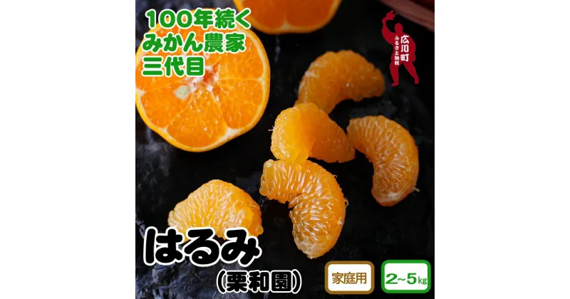 【ふるさと納税】 はるみ 2kg 5kg 家庭用 和歌山県 有田産 ※2025年2月中旬頃〜3月下旬頃に順次発送予定 7000円 12000円 / みかん くだもの 果実 蜜柑 柑橘 果物 フルーツ 国産 和歌山県広川町 有田 //dekopon //jcm