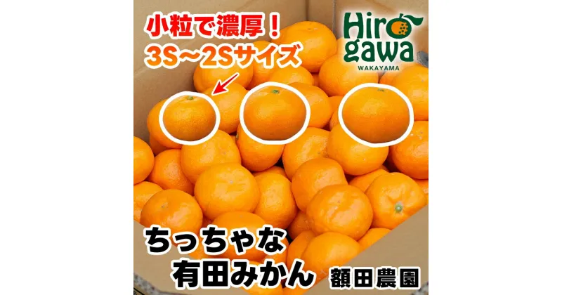 【ふるさと納税】 ちっちゃな 有田みかん こつぶみかん 5kg 10kg（3S～2Sサイズ混合）7000円 10000円 光センサー選別 ※11月中旬頃～1月中旬頃に順次発送予定 ※北海道・沖縄・離島への配送不可 / 温州みかん みかん ちっちゃい 柑橘 果物 くだもの フルーツ //mandarin