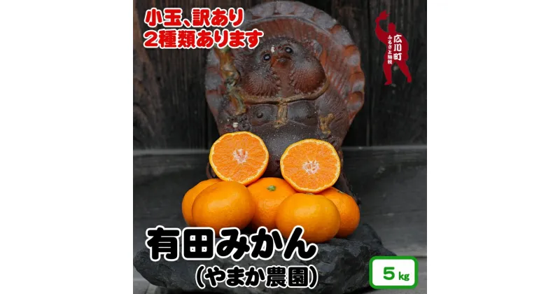 【ふるさと納税】 有田みかん 5kg 小玉 訳あり 選べる 10000円 ※12月上旬〜1月上旬頃順次発送予定 / 訳あり わけあり 小玉 小粒 ちっちゃい ちっちゃな 果物 くだもの ギフト プレゼント 贈答 贈り物 お歳暮 和歌山 有田 広川 //mandarin