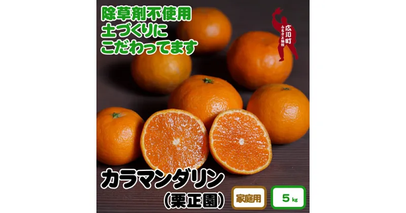 【ふるさと納税】 タカじいの カラマンダリン 家庭用 5kg （サイズおまかせM～2L） 9000円 ※4月中旬～5月順次発送予定 ＜紀州有田産＞ / カラ オレンジ みかん 晩柑 柑橘 果物 フルーツ 和歌山 紀州 有田 //hassaku