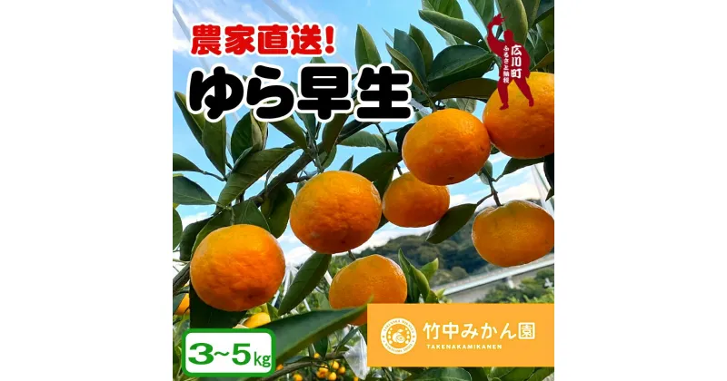 【ふるさと納税】 有田みかん 由良早生 3kg 5kg （2S～Lサイズ） 9000円 12000円 ※11月上旬～順次発送予定 / みかん 有田みかん ゆら 早生 由良 柑橘 果物 フルーツ くだもの 果実 //mandarin //jcm