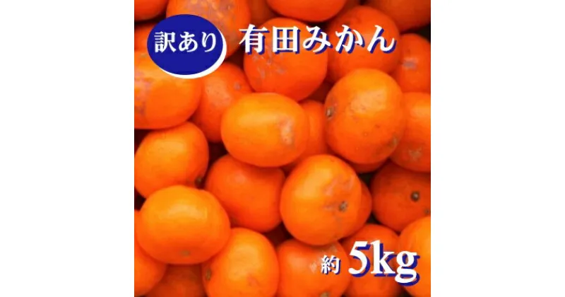 【ふるさと納税】紀州有田みかん 約5kg 訳あり キズ 御家庭用 サイズ混合 ※11月下旬～1月中旬頃順次発送予定 ※北海道・沖縄・離島配送不可 / みかん 蜜柑 柑橘 果物 くだもの 果実 フルーツ 国産 和歌山 有田