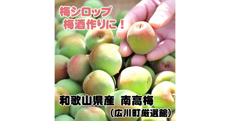 【ふるさと納税】南高梅 3kg 5kg 14000円 17000円 サイズ混合 和歌山名産 ※6月上旬から6月下旬頃に順次発送予定 ※北海道・沖縄・離島への配送不可 / 梅 青梅 うめ 梅酒 梅干し 梅シロップ ジャム // hokaf