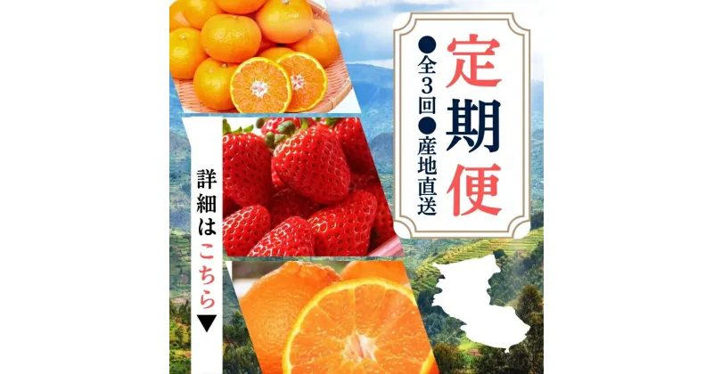 【ふるさと納税】【定期便】●全3回● 産地直送 定期便【温州みかん・まりひめ・紀州デコ】 / フルーツ 果物 みかん いちご 旬 定期便 //teiki