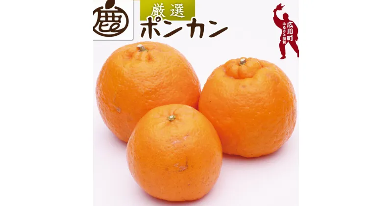 【ふるさと納税】厳選 ポンカン 1.2kg 2kg 3kg 5kg 【光センサー食頃出荷】【人気の柑橘】 ※1月中旬〜2月下旬頃に順次発送予定 ※北海道・沖縄・離島への配送不可 //dekopon