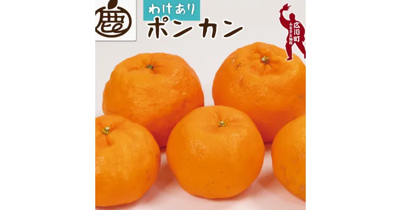 【ふるさと納税】 家庭用 ポンカン 1.5kg 3kg 4kg 5kg【光センサー食頃出荷】【人気の柑橘】【わけあり・訳あり】 ※1月中旬〜2月下旬頃に順次発送予定 ※北海道・沖縄・離島への配送不可 //dekopon