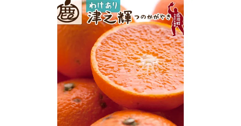 【ふるさと納税】家庭用 津之輝 1.5kg 3kg 4kg 5kg【つのかがやき・春みかん】【光センサー食頃出荷】 【わけあり・訳あり】 ※2月上旬〜3月下旬頃に順次発送予定 ※北海道・沖縄・離島への配送不可 //dekopon