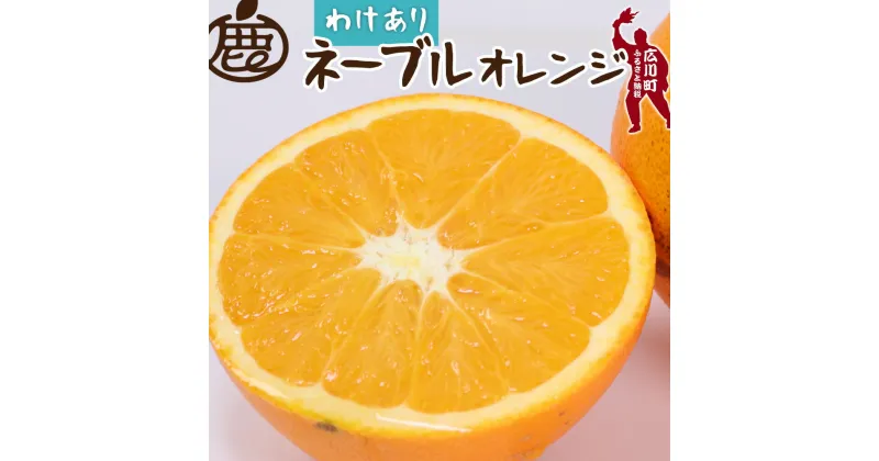 【ふるさと納税】 家庭用 ネーブル オレンジ 2.5kg 5kg 7kg 10kg【光センサー食頃出荷】 【わけあり・訳あり】 ※2月中旬〜3月中旬頃に順次発送予定 ※北海道・沖縄・離島への配送不可 //dekopon